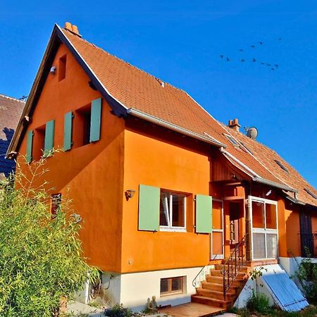 Beau Logement Au Centre D'Alsace Epfig Exteriér fotografie